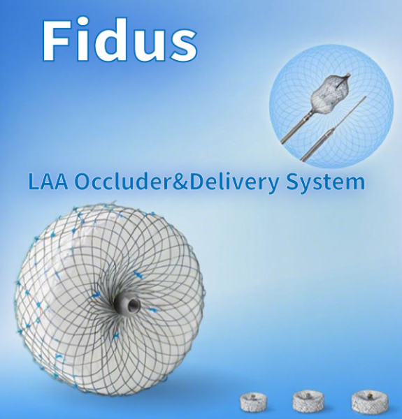 LAA Occluder&Delivery System